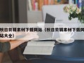 秋日剪辑素材下载网站（秋日剪辑素材下载网站大全）