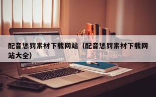 配音惩罚素材下载网站（配音惩罚素材下载网站大全）